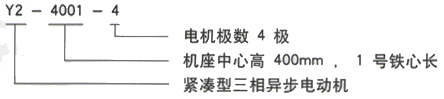 YR系列(H355-1000)高压YRKK6301-8/900KW三相异步电机西安西玛电机型号说明